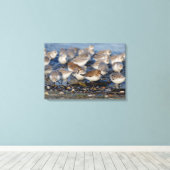 Klok van Dunlins en Sanderlings bij het strand Canvas Afdruk (Insitu (Houten vloer))