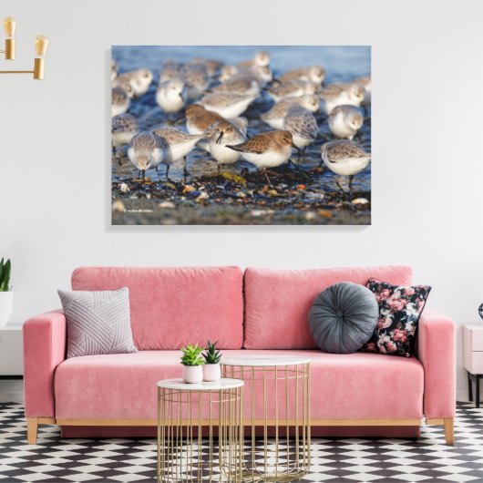 Klok van Dunlins en Sanderlings bij het strand Canvas Afdruk (Insitu (Woonkamer))