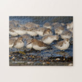 Klok van Dunlins en Sanderlings bij het strand Legpuzzel (Horizontaal)