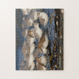 Klok van Dunlins en Sanderlings bij het strand Legpuzzel