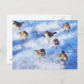 Klok van het huis Sparrows "Passer domesticus" op Briefkaart (Voorkant / Achterkant)