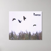 Klok van Ravens Canvas Afdruk (Voorkant)
