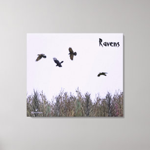 Klok van Ravens Canvas Afdruk