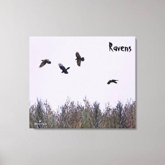 Klok van Ravens Canvas Afdruk (Voorkant)