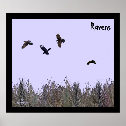 Klok van Ravens Poster (Voorkant)