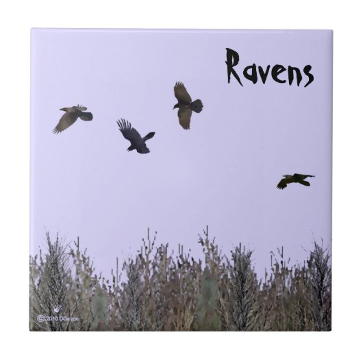 Klok van Ravens Tegeltje (Voorkant)