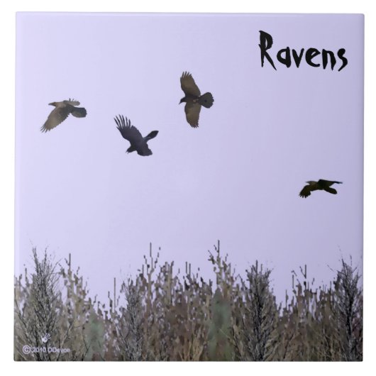 Klok van Ravens Tegeltje (Voorkant)