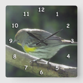 Klok - Vogel met gele veren