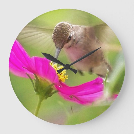 Klok voor vogelpest Ventilator (Voorkant)