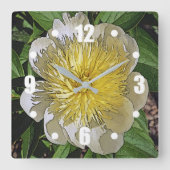 KLOK / WITTE PIOEN MET GEEL MIDDEN. (Voorkant)