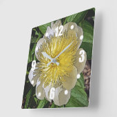 KLOK / WITTE PIOEN MET GEEL MIDDEN. (Hoek)