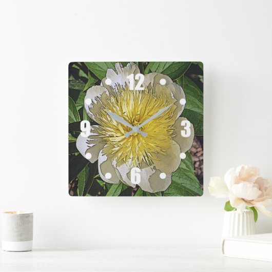 KLOK / WITTE PIOEN MET GEEL MIDDEN. (Huis)