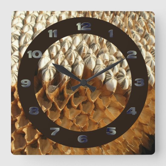 Klok - Zonnebloempitten met Cirkel (Voorkant)
