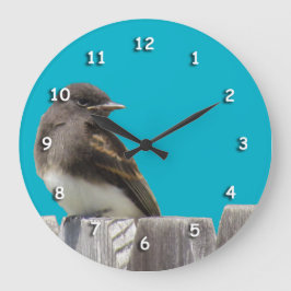 Klok - Zwarte en witte vogel op hek