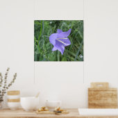 Klokbloem Poster (Keuken)