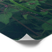 Klokbloemen in de bossen poster (Hoek)