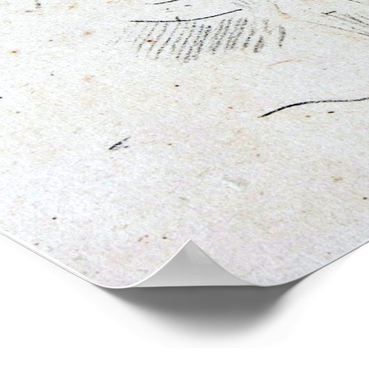 Klokflits - Draped Figuur Reclining Poster (Hoek)