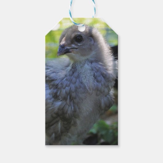 Klokje Cadeaulabel (Voorkant)