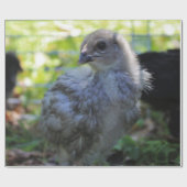 Klokje Cadeaupapier (Vlak)