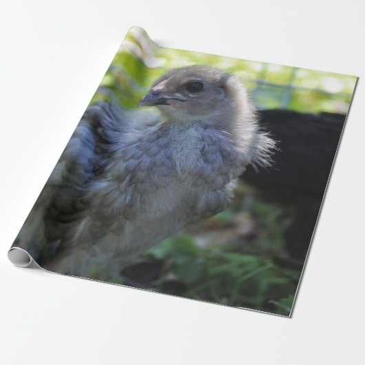 Klokje Cadeaupapier (Uitgerold)