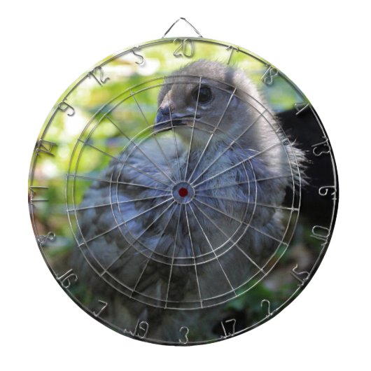 Klokje Dartbord (Voorkant)