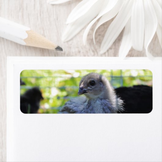 Klokje Etiket (Insitu)