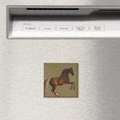 Klokje het paard (door George Stubbs) Magneet (Insitu (Vaatwasser))