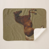 Klokje het paard (door George Stubbs) Sherpa Deken (Voorkant (horizontaal))