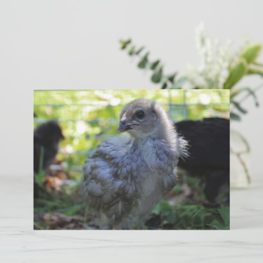 Klokje Kaart (Staand voorkant)