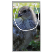 Klokje Klein Cadeauzakje (Achterkant)