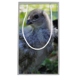 Klokje Klein Cadeauzakje