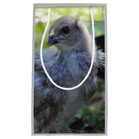 Klokje Klein Cadeauzakje (Voorkant)