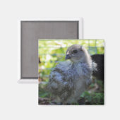 Klokje Magneet (Voorkant / Achterkant)