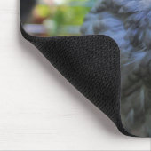 Klokje Muismat (Hoek)