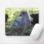 Klokje Muismat (Met muis)