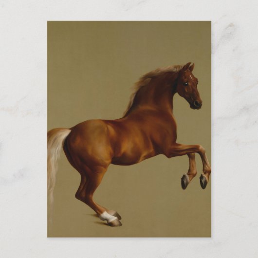 Klokje Race Horse van George Stubbs Briefkaart (Voorkant)