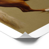 Klokje Race Horse van George Stubbs Poster (Hoek)