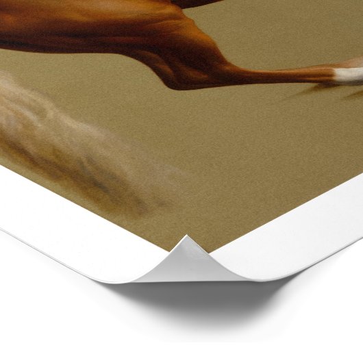 Klokje Race Horse van George Stubbs Poster (Hoek)