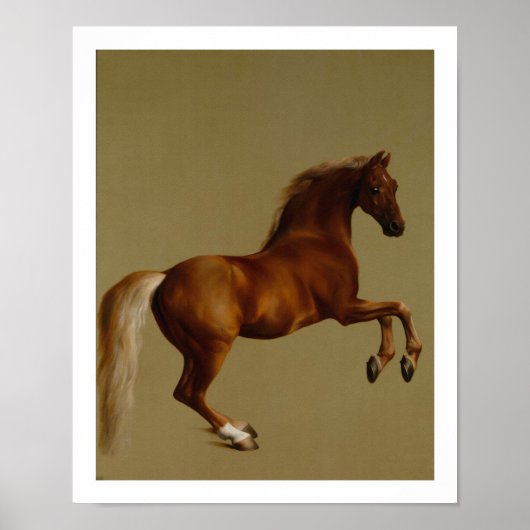 Klokje Race Horse van George Stubbs Poster (Voorkant)