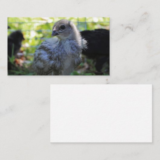 Klokje Visitekaartje (Voorkant / Achterkant)