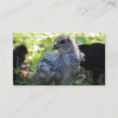 Klokje Visitekaartje (Voorkant)