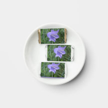 Klokjesbloem