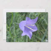 Klokjesbloem Feestdagenkaart (Voorkant)