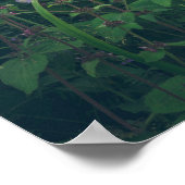 Klokjesbloemen in het bos poster (Hoek)