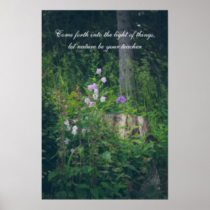 Klokjesbloemen in het bos poster