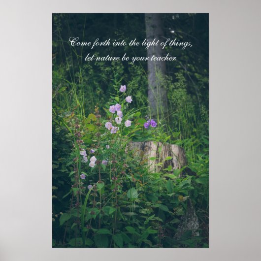 Klokjesbloemen in het bos poster (Voorkant)