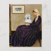 Klokjesmoeder - Coton de Tulear 2 Briefkaart (Voorkant)