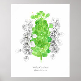 Klokken van Ierland Taal van Bloemen Succes Poster