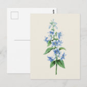 klokkenbloem van Pierre Joseph Redoute Briefkaart (Voorkant / Achterkant)