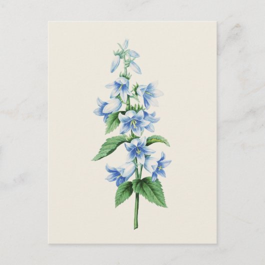 klokkenbloem van Pierre Joseph Redoute Briefkaart (Voorkant)
